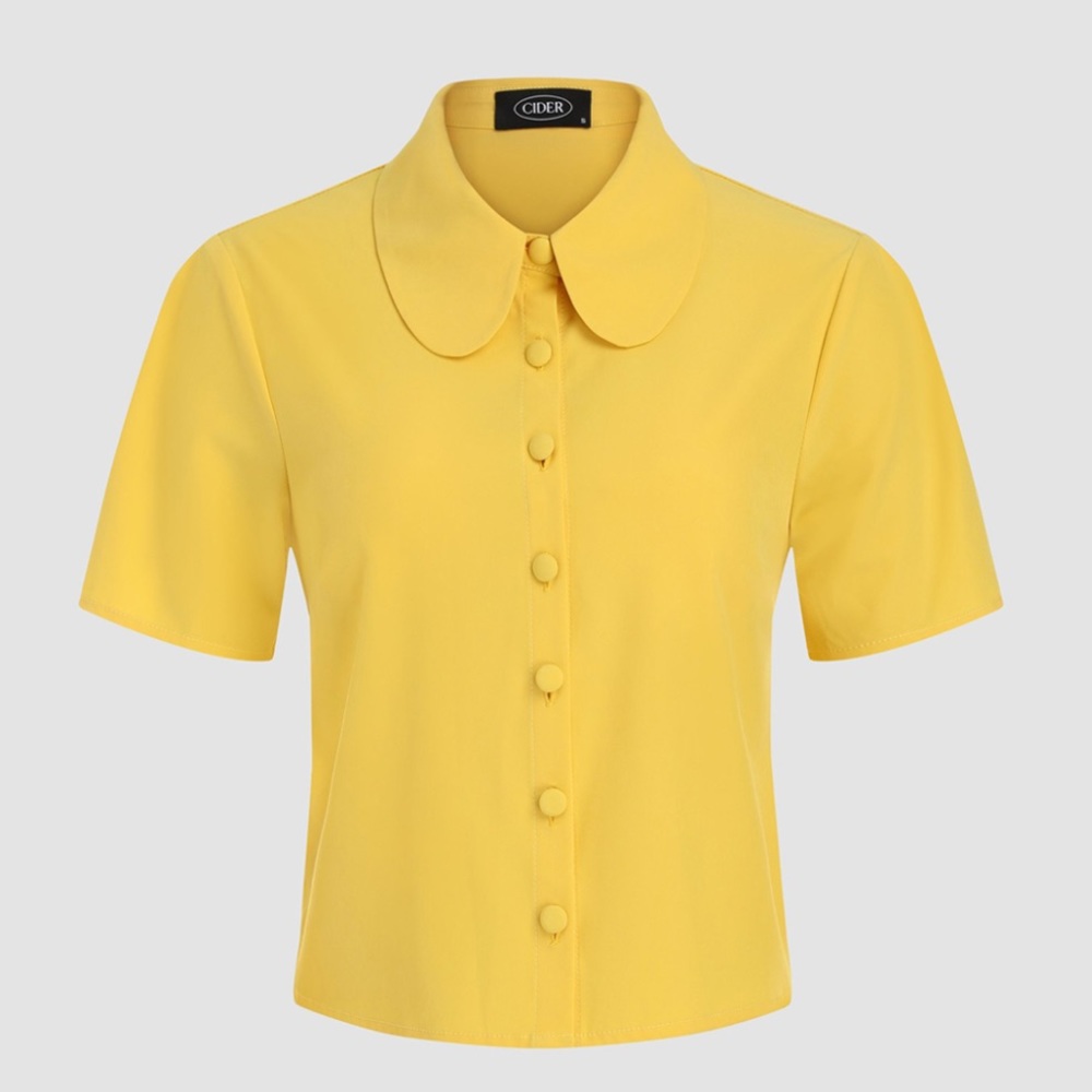 Brand new cider blouse